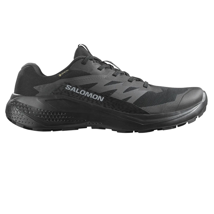 Ανδρικά αδιάβροχα παπούτσια salomon alphaglide με GTX