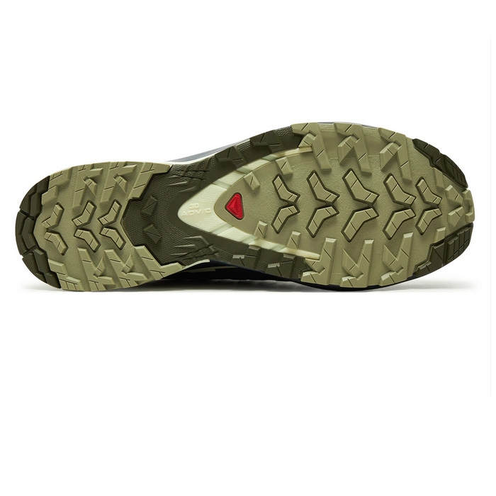 Ανδρικά αδιάβροχα παπούτσια Salomon XA Pro 478230