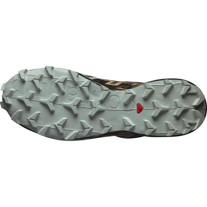 Ανδρικά παπούτσια Salomon Speedcross 6 για τρέξιμο σε χώμα 478800