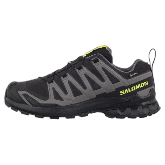 Salomon ανδρικό outdoor παπούτσι XA PRO GTX 479873