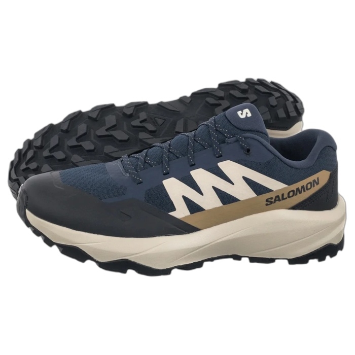 Ανδρικό παπούτσι outdoor Salomon Outscape Spellbound 491509