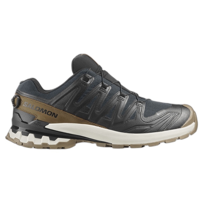Ανδρικά παπούτσια Salomon ΧΑ PRO με Goretex 479638