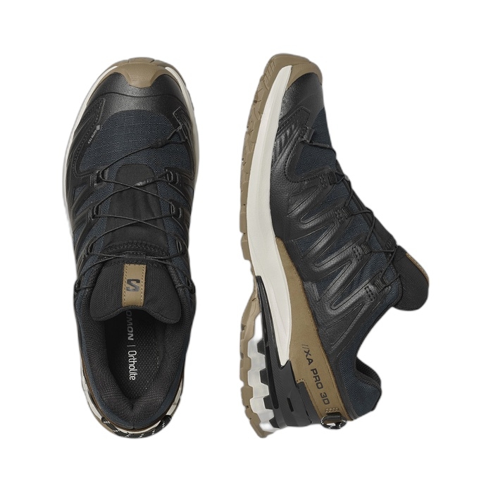 Ανδρικά παπούτσια Salomon ΧΑ PRO με Goretex 479638