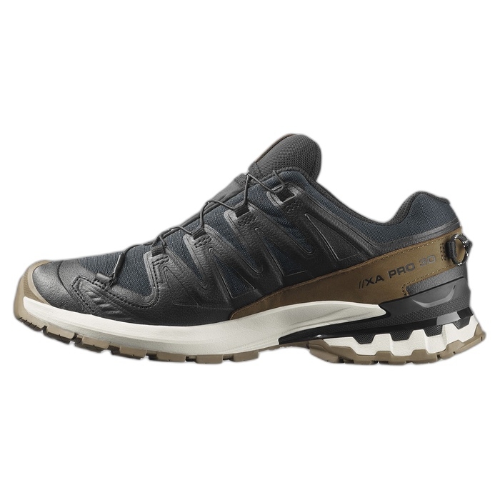 Ανδρικά παπούτσια Salomon ΧΑ PRO με Goretex 479638